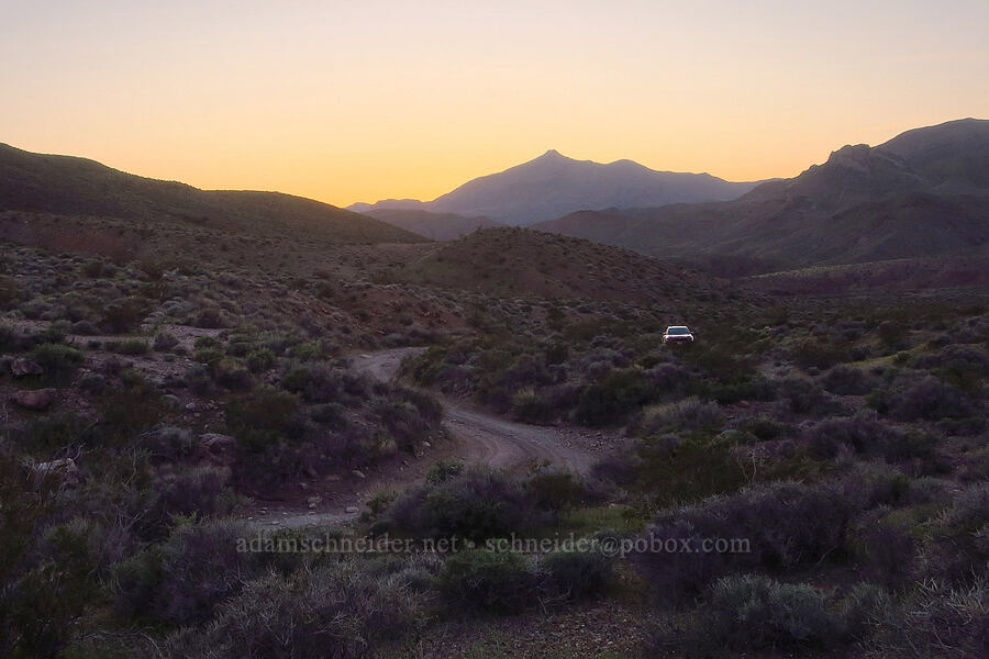 campsite [Chloride City Road, Death Valley National Park, Inyo County, California]