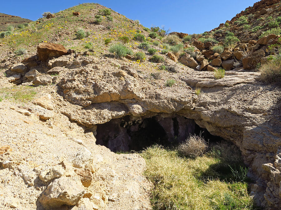 Hole-in-the-Rock Spring [Grapevine Mountains, Death Valley National Park, Inyo County, California]