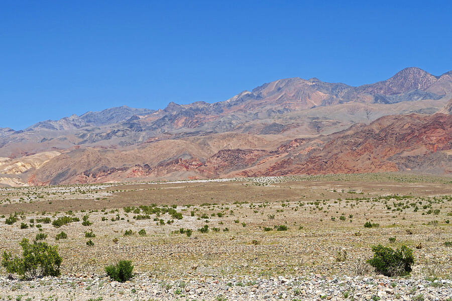 Grapevine Mountains [North Highway, Death Valley National Park, Inyo County, California]