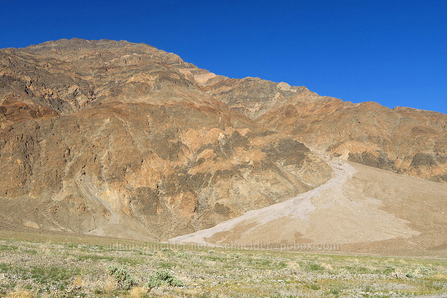 two-tone alluvial fan [North Highway, Death Valley National Park, Inyo County, California]
