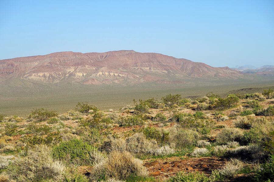 Greenwater Valley [Dante's View Road, Death Valley National Park, Inyo County, California]