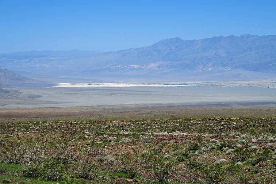 Death Valley [Highway 190, Death Valley National Park, Inyo County, California]