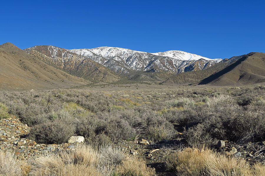 Rogers Peak & Bennett Peak [Charcoal Kilns Road, Death Valley National Park, Inyo County, California]