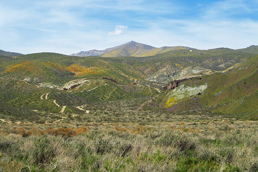 Butterbredt Peak [Jawbone Canyon, Kern County, California]