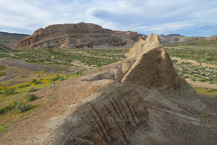 sandstone [Red Rock Canyon State Park, Kern County, California]