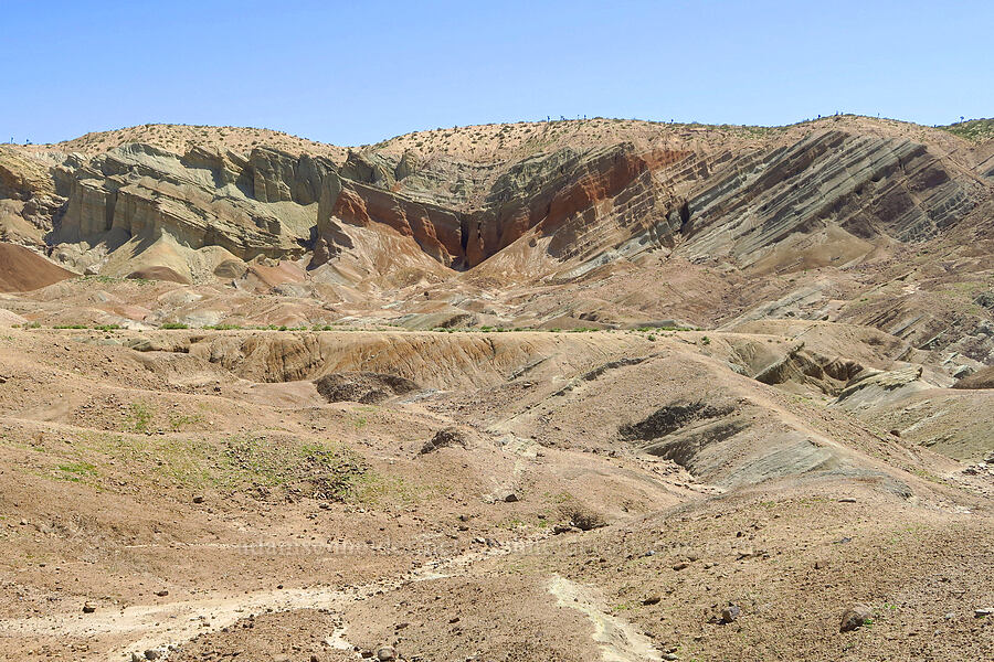 Rainbow Basin [Rainbow Basin Natural Area, San Bernardino County, California]