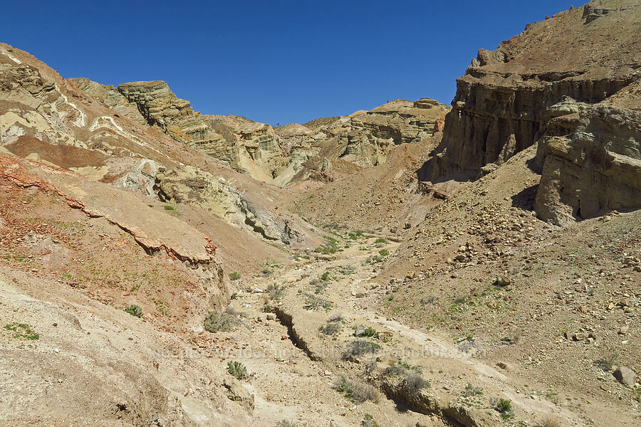 Rainbow Basin [Rainbow Basin Natural Area, San Bernardino County, California]