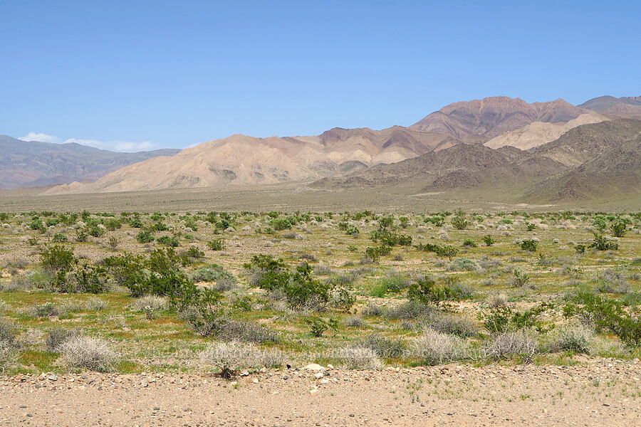 Nopah Range [Furnace Creek Road, Inyo County, California]