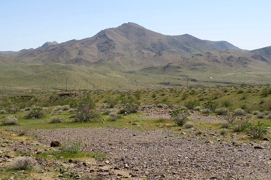 Alexander Hills [Furnace Creek Road, Inyo County, California]