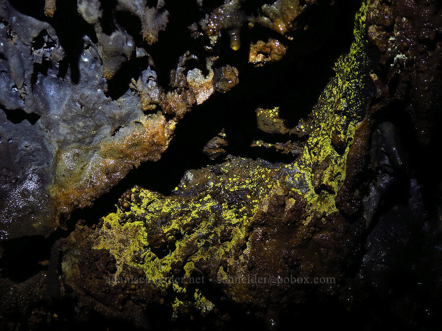 shiny bacteria [Golden Dome Cave, Lava Beds National Monument, Siskiyou County, California]