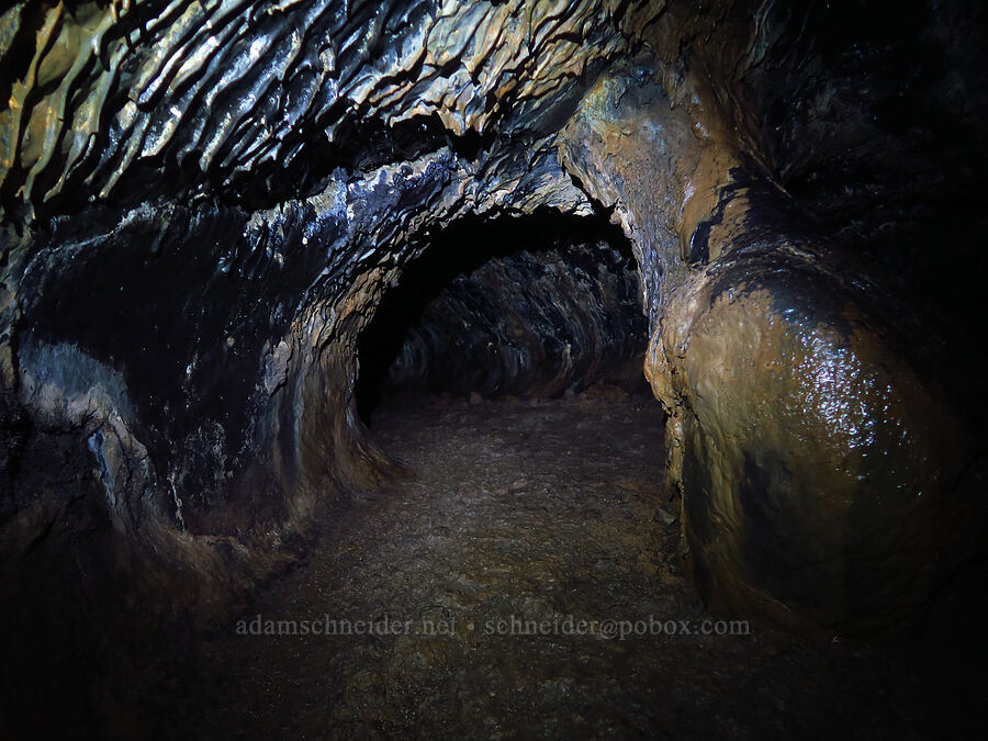 lava tube [Hopkins Chocolate Cave, Lava Beds National Monument, Siskiyou County, California]
