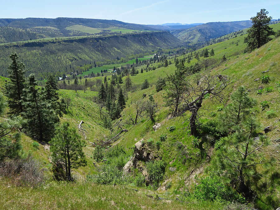 Mill Creek Valley [Mill Creek Ridge Preserve, Wasco County, Oregon]