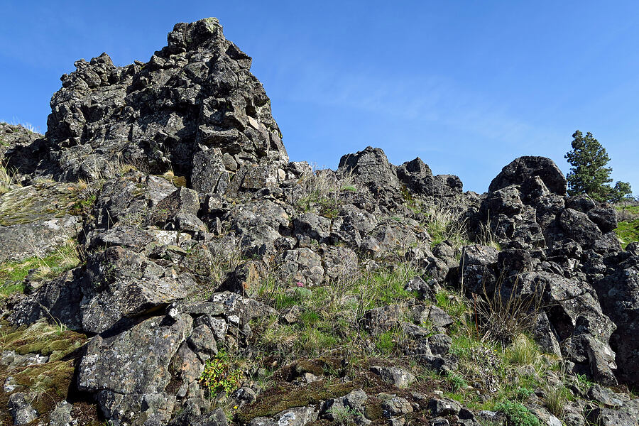 basalt crags [Mill Creek Ridge, Wasco County, Oregon]
