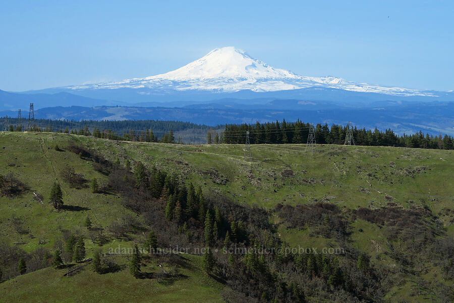 Mount Adams [Mill Creek Ridge, Wasco County, Oregon]