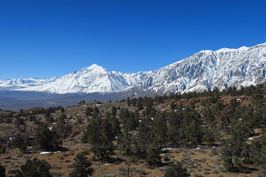 Mount Tom & Wheeler Ridge [Sherwin Grade Vista Point, Mono County, California]