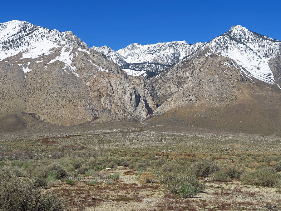 Sawmill Creek Canyon [Tinemaha Road, Inyo County, California]