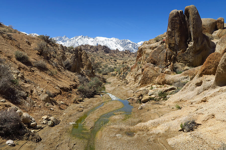 miniature landscape [Mobius Arch Trail, Inyo County, California]