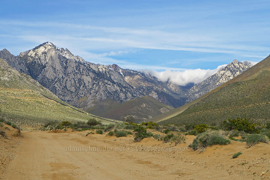 Owens Peak & Grapevine Canyon [Grapevine Canyon Road, Kern County, California]