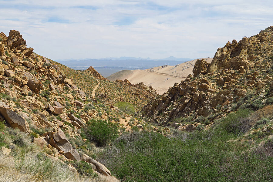 Short Canyon [Short Canyon, Kern County, California]