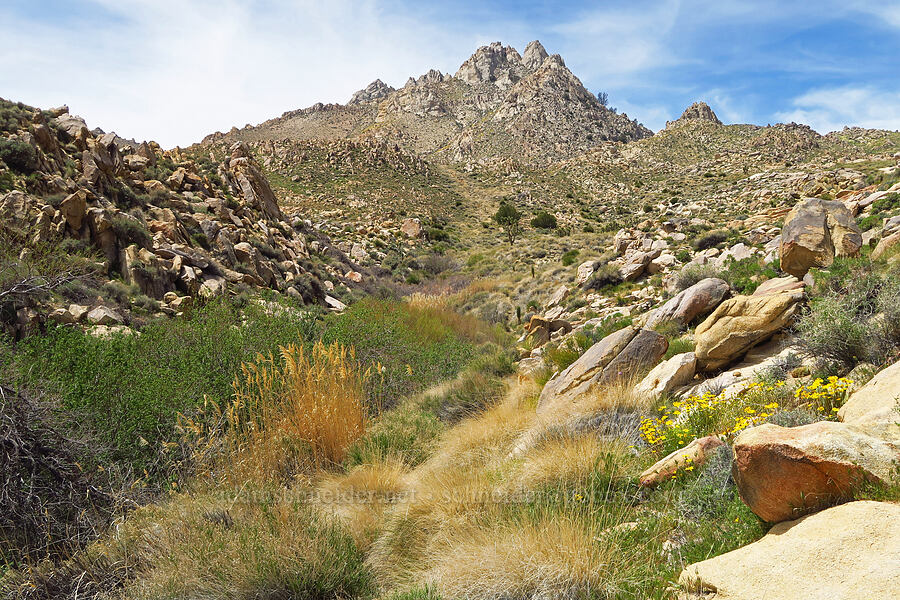 Short Canyon [Short Canyon, Kern County, California]