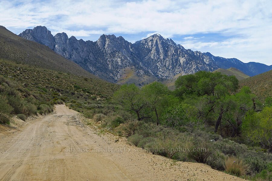 Owens Peak & Grapevine Canyon [Grapevine Canyon Road, Kern County, California]