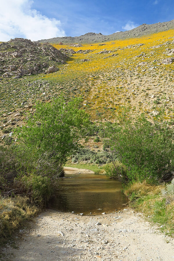 stream ford [Sand Canyon Road, Kern County, California]