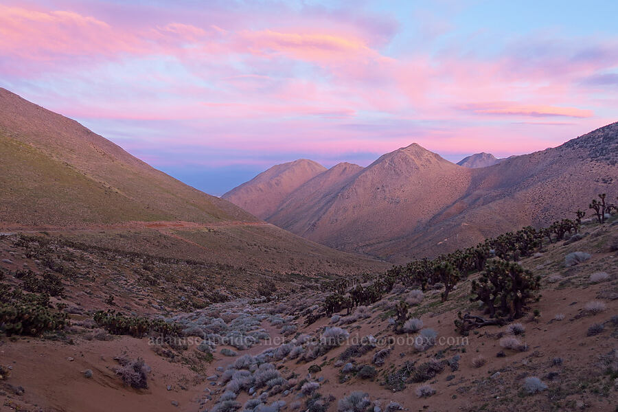 Nine Mile Canyon at sunset [Nine Mile Canyon Road, Inyo County, California]