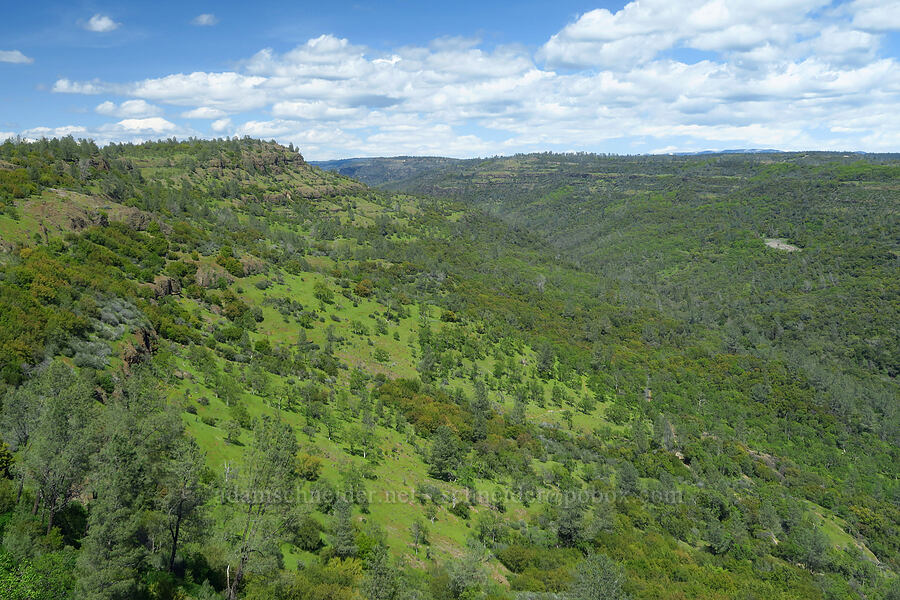 Chico Canyon [polarized] [Upper Bidwell Park, Chico, Butte County, California]