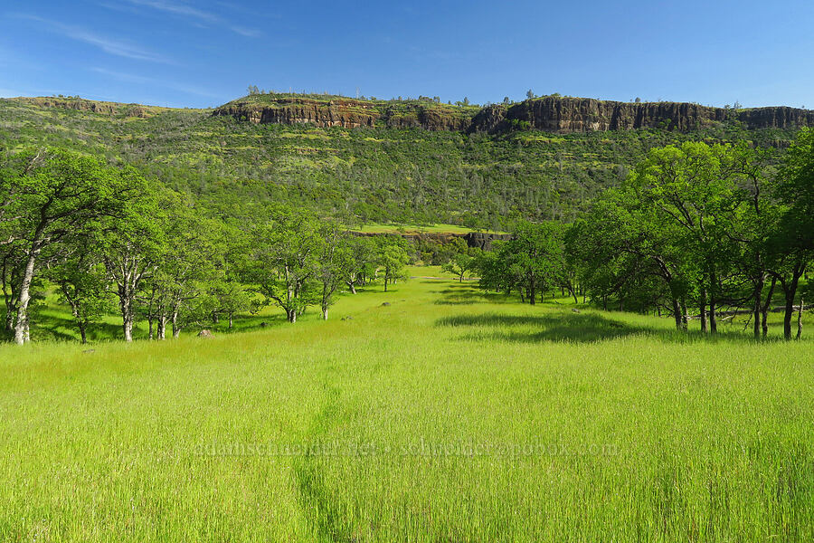 South Rim & grasslands [polarized] [Upper Bidwell Park, Chico, Butte County, California]