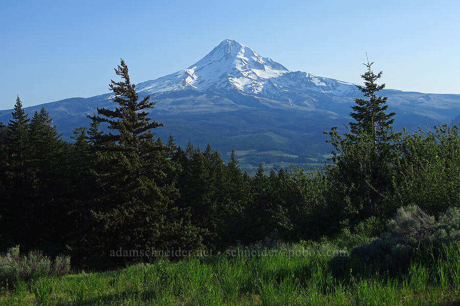 Mount Hood [Bald Butte Trailhead, Hood River County, Oregon]