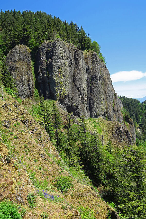 cliffs [Hamilton Mountain, Beacon Rock State Park, Skamania County, Washington]