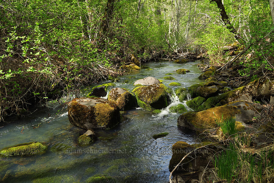 Canyon Creek [Soda Springs Wildlife Area, Klickitat County, Washington]
