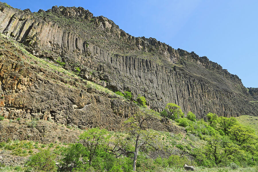 Royal Columns [Tieton Nature Trail, Yakima County, Washington]