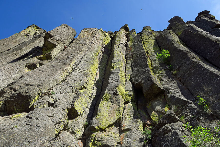 columnar basalt [Royal Columns, Yakima County, Washington]