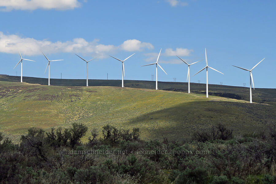 wind turbines [L.T. Murray/Quilomene Wildlife Area, Kittitas County, Washington]