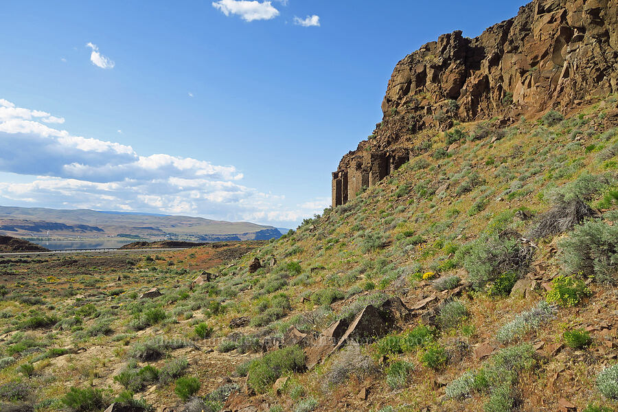 basalt cliffs & shrub-steppe [Basalt Gardens, Grant County, Washington]