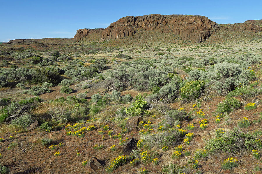 basalt cliffs & shrub-steppe [Basalt Gardens, Grant County, Washington]