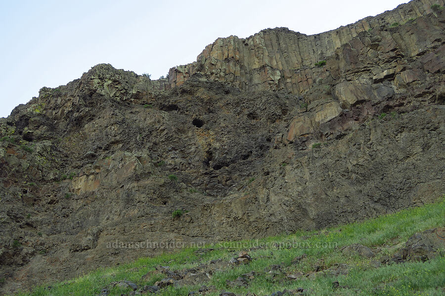 holes in the cliffs [Rocky Coulee Recreation Area, Kittitas County, Washington]