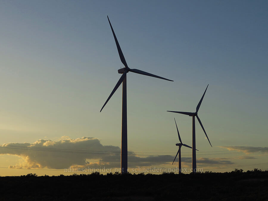 wind turbines [Ryegrass Rest Area, Kittitas County, Washington]