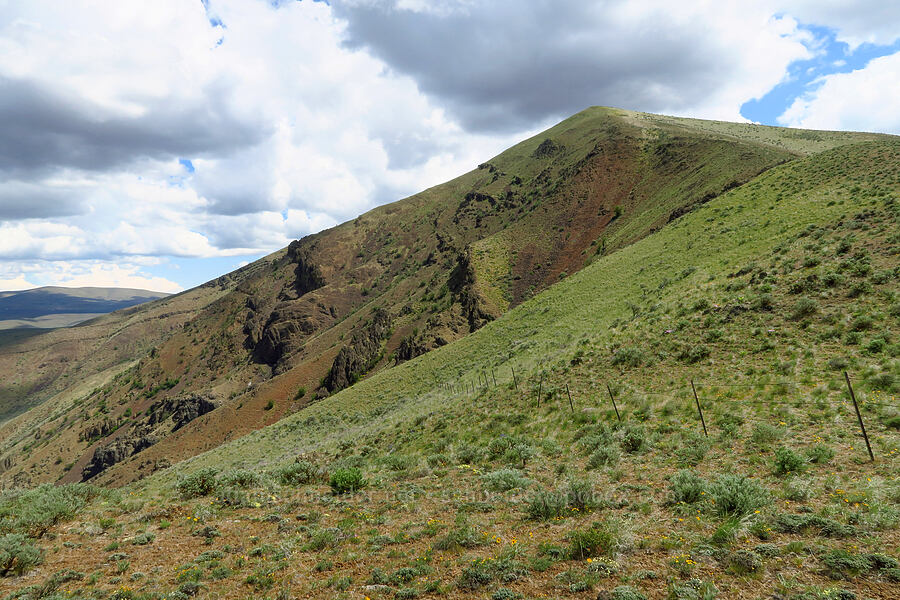 Baldy Mountain [Baldy Mountain Trail, Kittitas County, Washington]