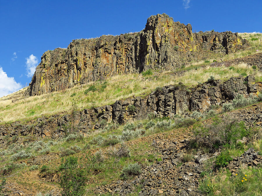 basalt cliffs [Umtanum Creek Canyon, Kittitas County, Washington]
