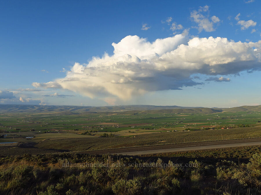 clouds & virga over the Kittitas Valley [Manastash Vista Point, Kittitas County, Washington]