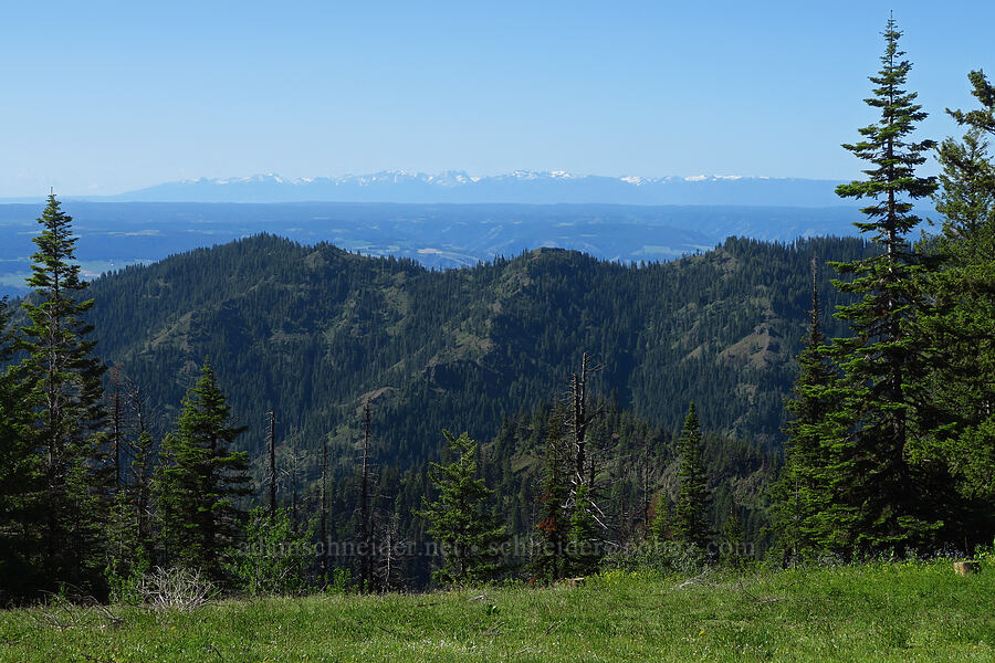 Wallowa Mountains [Wickiup Campground, Umatilla National Forest, Garfield County, Washington]