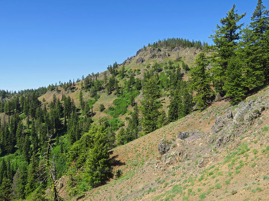 Diamond Peak [Diamond Peak Trailhead, Umatilla National Forest, Garfield County, Washington]