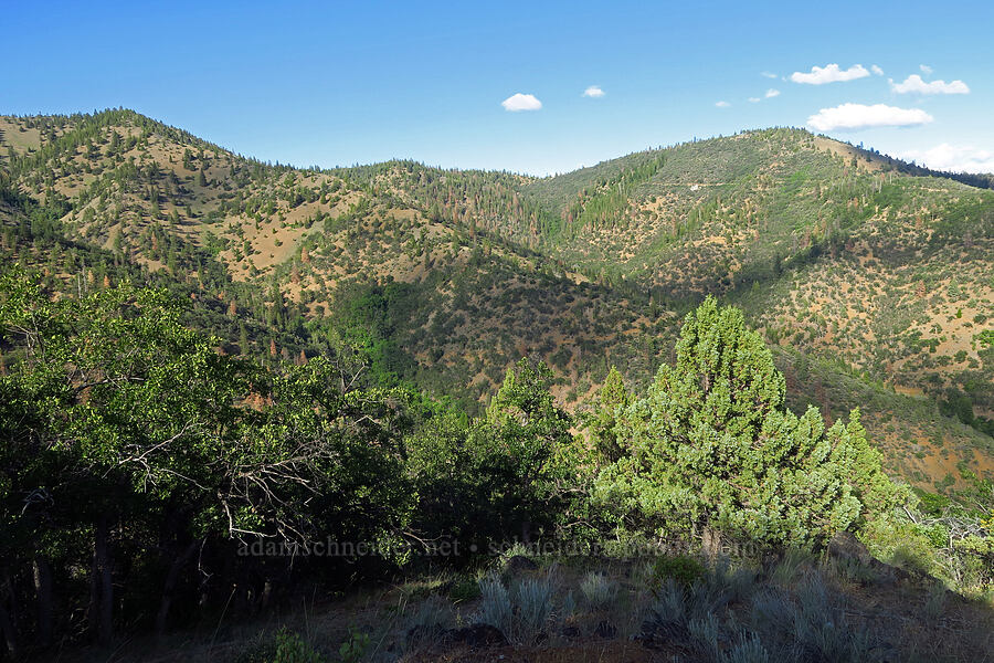 hills across Ash Creek [above Ash Creek, Klamath National Forest, Siskiyou County, California]