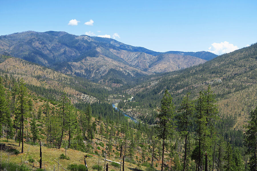 Nihwik Mountain & Illinois River [Days Gulch Botanical Area, Rogue River-Siskiyou National Forest, Josephine County, Oregon]