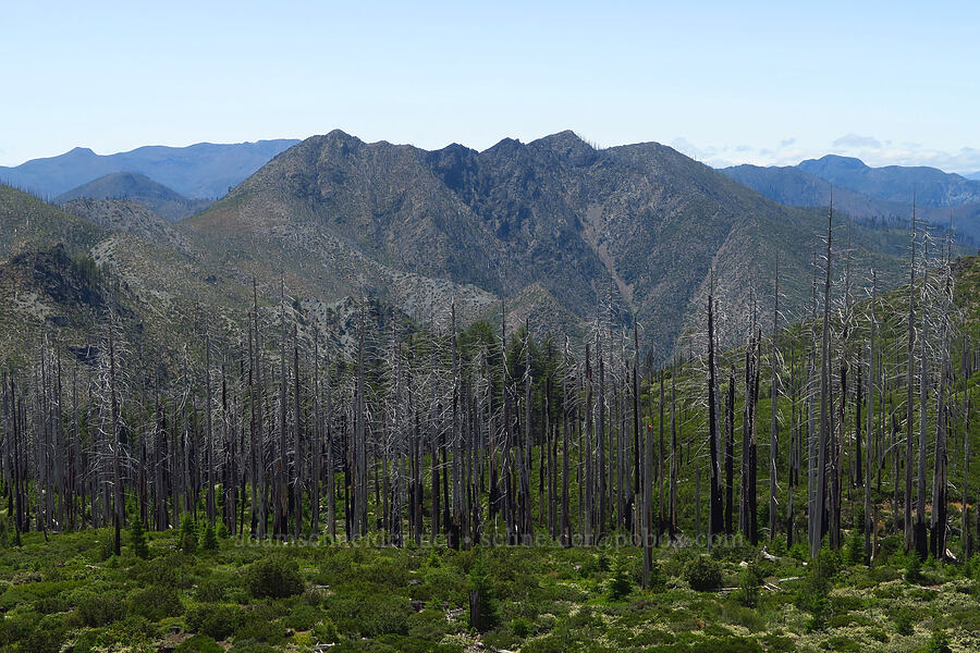 Peak 4325 [Forest Road 4201-870, Rogue River-Siskiyou National Forest, Curry County, Oregon]