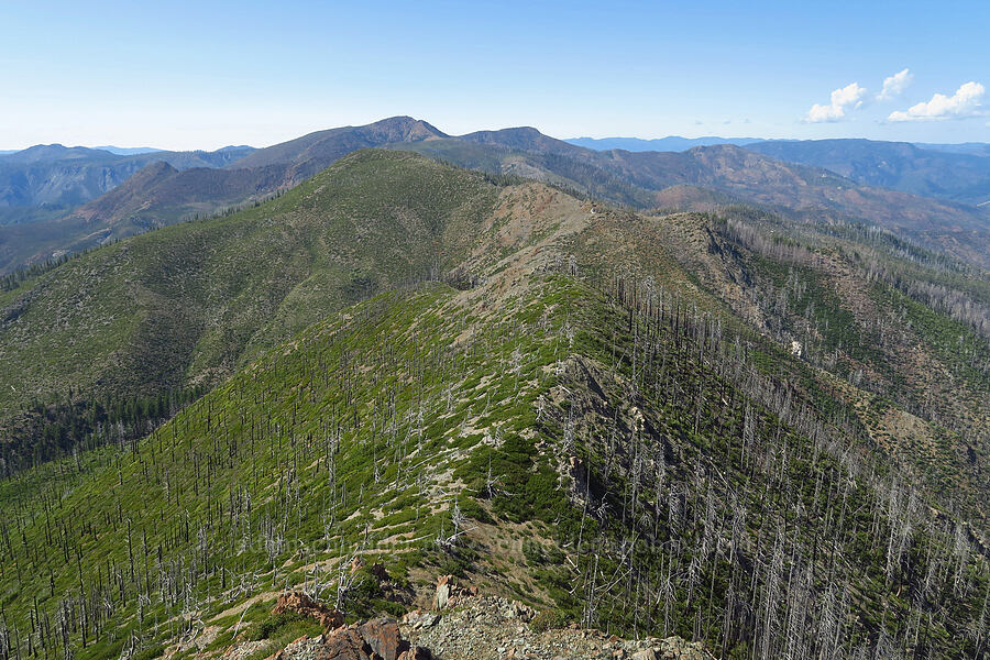 ridge to Eagle Mountain & Pearsoll Peak [Whetstone Butte, Rogue River-Siskiyou National Forest, Josephine County, Oregon]