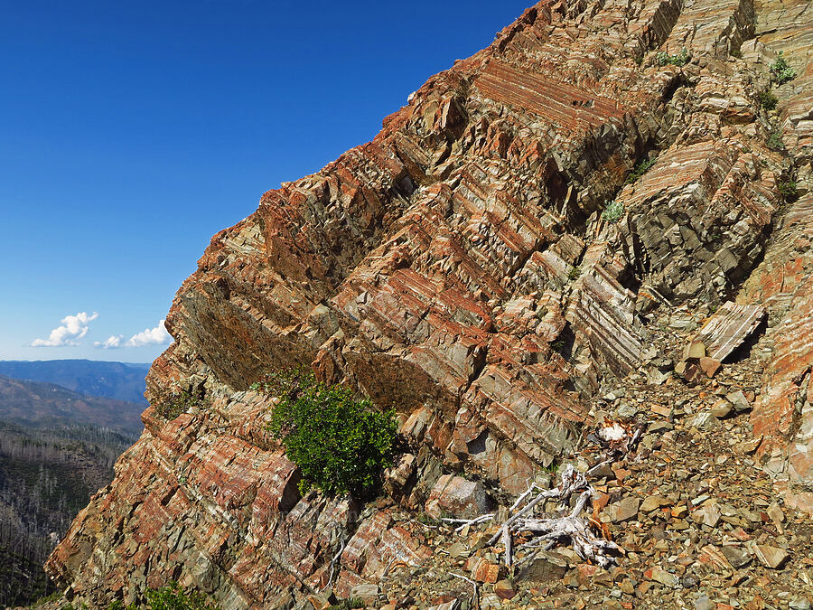 stripey orange rocks [Whetstone Butte, Rogue River-Siskiyou National Forest, Curry County, Oregon]