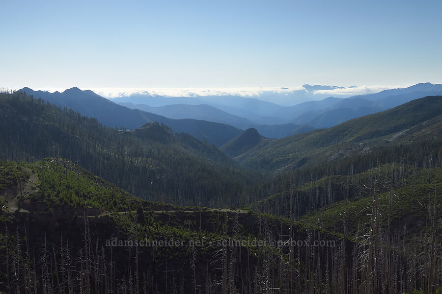 marine layer & Kalmiopsis Wilderness [Babyfoot Lake Trailhead, Rogue River-Siskiyou National Forest, Curry County, Oregon]